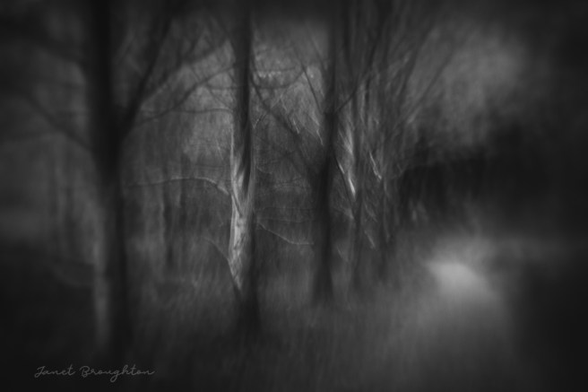 footpath in the woods - ICM photo
